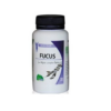 MGD FUCUS 12O GELULES
